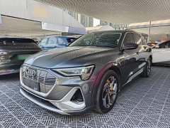 Audi e-tron 2021 50 quattro Premium - ფოტო 1