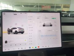 Nio Lerado L60 2024 60kWh Rear-Wheel Drive - ფოტო 12