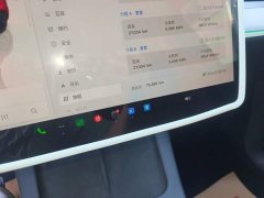 Tesla Model Y Long Range All-Wheel Drive - ფოტო 12