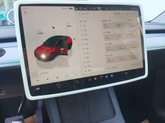 Tesla Model Y Long Range All-Wheel Drive - ფოტო 13