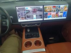 Li Auto L9 2022 Max - ფოტო 14