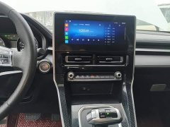 Haval M6 PLUS 1.5T DCT Luxury Smart Connected Edition - ფოტო 13