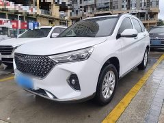 Haval M6 PLUS 1.5T DCT Luxury Smart Connected Edition - ფოტო 2