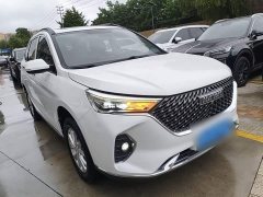 Haval M6 PLUS 1.5T DCT Luxury Smart Connected Edition - ფოტო 4