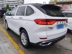 Haval M6 PLUS 1.5T DCT Luxury Smart Connected Edition - ფოტო 5