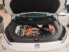 Buick E5 620KM Premium Edition - ფოტო 16