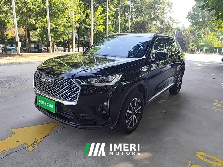 Haval H6 1.5T Two-Wheel Drive Classic Edition