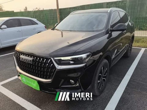 2024 Haval H6 2023 National Trend Edition 1.5T Automatic Urban Version - ავტომობილი ჩინეთიდან