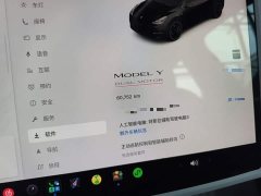 Tesla Model Y Performance All-Wheel Drive - ფოტო 12