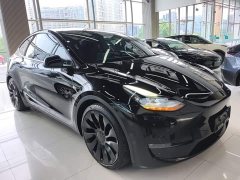 Tesla Model Y Performance All-Wheel Drive - ფოტო 4