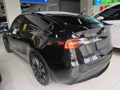 Tesla Model Y Performance All-Wheel Drive - ფოტო 5