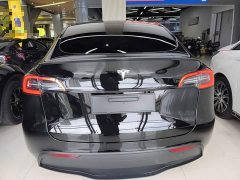 Tesla Model Y Performance All-Wheel Drive - ფოტო 6