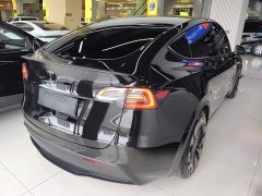 Tesla Model Y Performance All-Wheel Drive - ფოტო 7