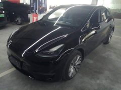 Tesla Model Y Long Range All-Wheel Drive - ფოტო 1