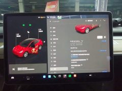 Tesla Model Y Long Range All-Wheel Drive - ფოტო 12