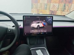 Tesla Model Y Rear-Wheel Drive - ფოტო 10