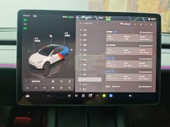 Tesla Model Y Rear-Wheel Drive - ფოტო 12