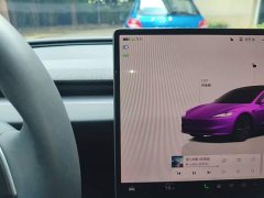 Tesla Model 3 Rear-Wheel Drive - ფოტო 14