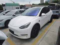 Tesla Model Y Long Range All-Wheel Drive - ფოტო 2