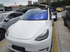 Tesla Model Y Long Range All-Wheel Drive - ფოტო 3