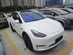 Tesla Model Y Long Range All-Wheel Drive - ფოტო 4