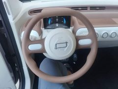 FAW Besturn Xiaoma 222km Colorful Edition - ფოტო 11
