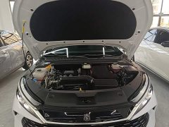 BYD Qin L 2024 DM-i 80KM Excellence Edition - ფოტო 20