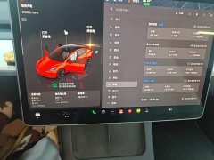 Tesla Model 3 Rear-Wheel Drive - ფოტო 12