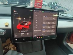 Tesla Model 3 Rear-Wheel Drive - ფოტო 13
