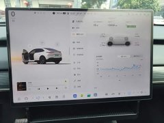 Nio Lerado L60 2024 60kWh Rear-Wheel Drive - ფოტო 8