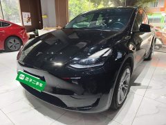 Tesla Model Y 2022 Rear-Wheel Drive - ფოტო 1