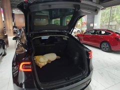 Tesla Model Y 2022 Rear-Wheel Drive - ფოტო 19