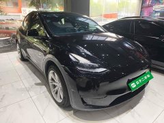 Tesla Model Y 2022 Rear-Wheel Drive - ფოტო 4