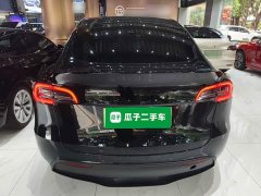 Tesla Model Y 2022 Rear-Wheel Drive - ფოტო 6