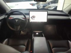Tesla Model Y Long Range All-Wheel Drive - ფოტო 10