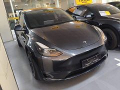 Tesla Model Y Long Range All-Wheel Drive - ფოტო 4
