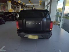 Haval Cool Dog 1.5T DCT FWD Trendy Edition - ფოტო 6