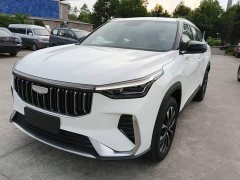 Geely Boyue 1.5T Aspiration - ფოტო 2