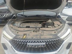 Haval M6 PLUS 1.5T DCT Elite Smart Connected Edition - ფოტო 20