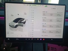Tesla Model 3 2023 Rear-Wheel Drive - ფოტო 12