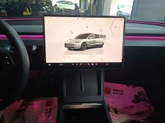 Tesla Model 3 2023 Rear-Wheel Drive - ფოტო 13