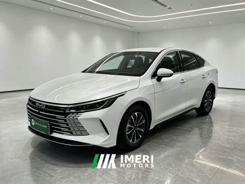 2024 BYD Destroyer 05 Glory Edition DM-i 55KM Luxury