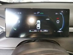 BYD Destroyer 05 Glory Edition DM-i 55KM Luxury - ფოტო 12
