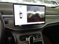 BYD Destroyer 05 Glory Edition DM-i 55KM Luxury - ფოტო 13