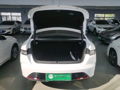 BYD Destroyer 05 Glory Edition DM-i 55KM Luxury - ფოტო 19