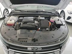 BYD Destroyer 05 Glory Edition DM-i 55KM Luxury - ფოტო 20