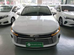 BYD Destroyer 05 Glory Edition DM-i 55KM Luxury - ფოტო 3