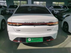 BYD Destroyer 05 Glory Edition DM-i 55KM Luxury - ფოტო 6
