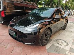 Tesla Model Y Rear-Wheel Drive - ფოტო 1