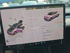 Tesla Model Y Rear-Wheel Drive - ფოტო 12